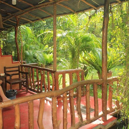 Sigiriya Nature View Home Stay מראה חיצוני תמונה