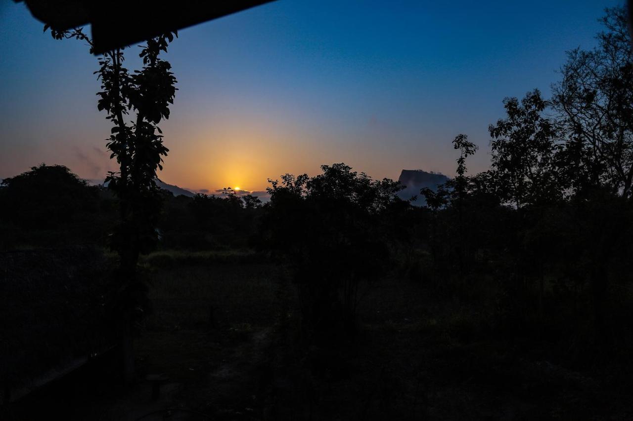 Sigiriya Nature View Home Stay מראה חיצוני תמונה