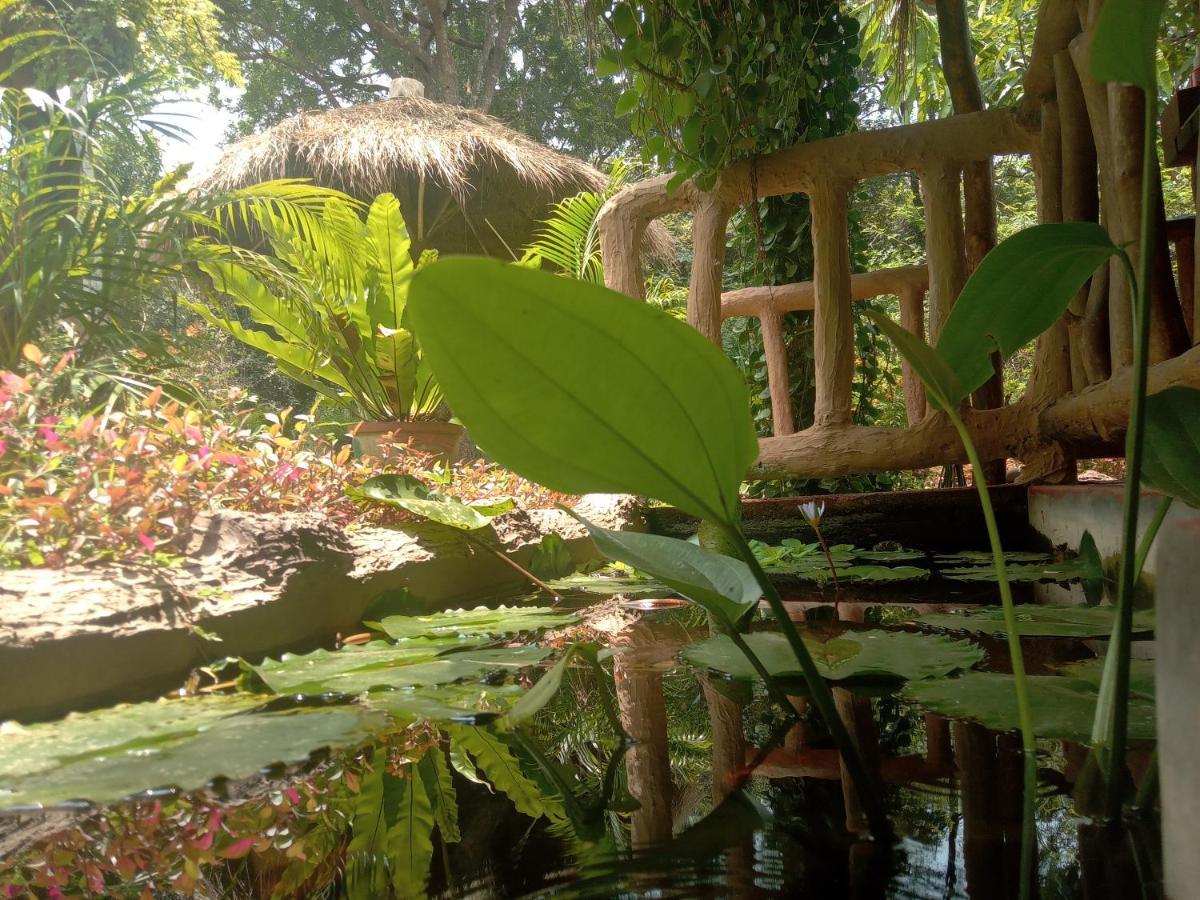 Sigiriya Nature View Home Stay מראה חיצוני תמונה