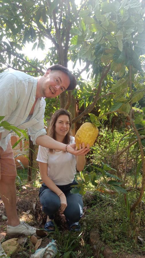Sigiriya Nature View Home Stay מראה חיצוני תמונה