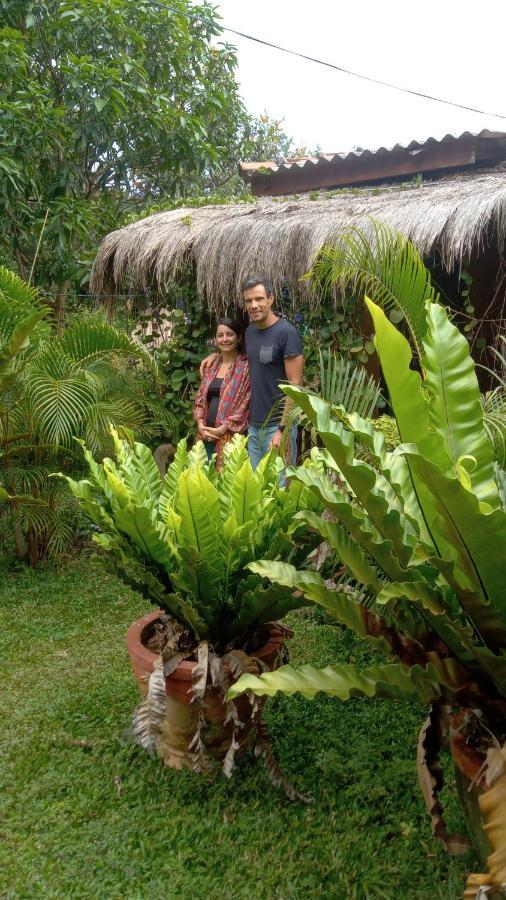 Sigiriya Nature View Home Stay מראה חיצוני תמונה