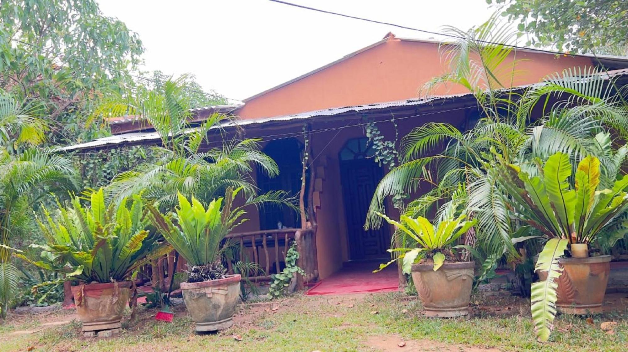 Sigiriya Nature View Home Stay מראה חיצוני תמונה